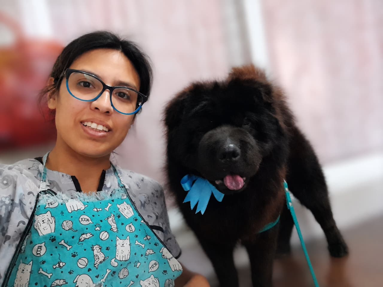 Thor, chow chow negro en peluquería canina Quilmes Bernal
